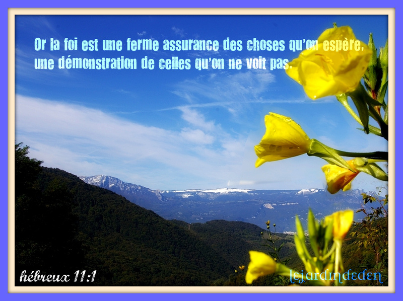 Versets Bibliques